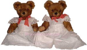 Farnell Teddybear